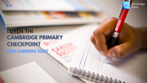 Cambridge Primary Checkpoint